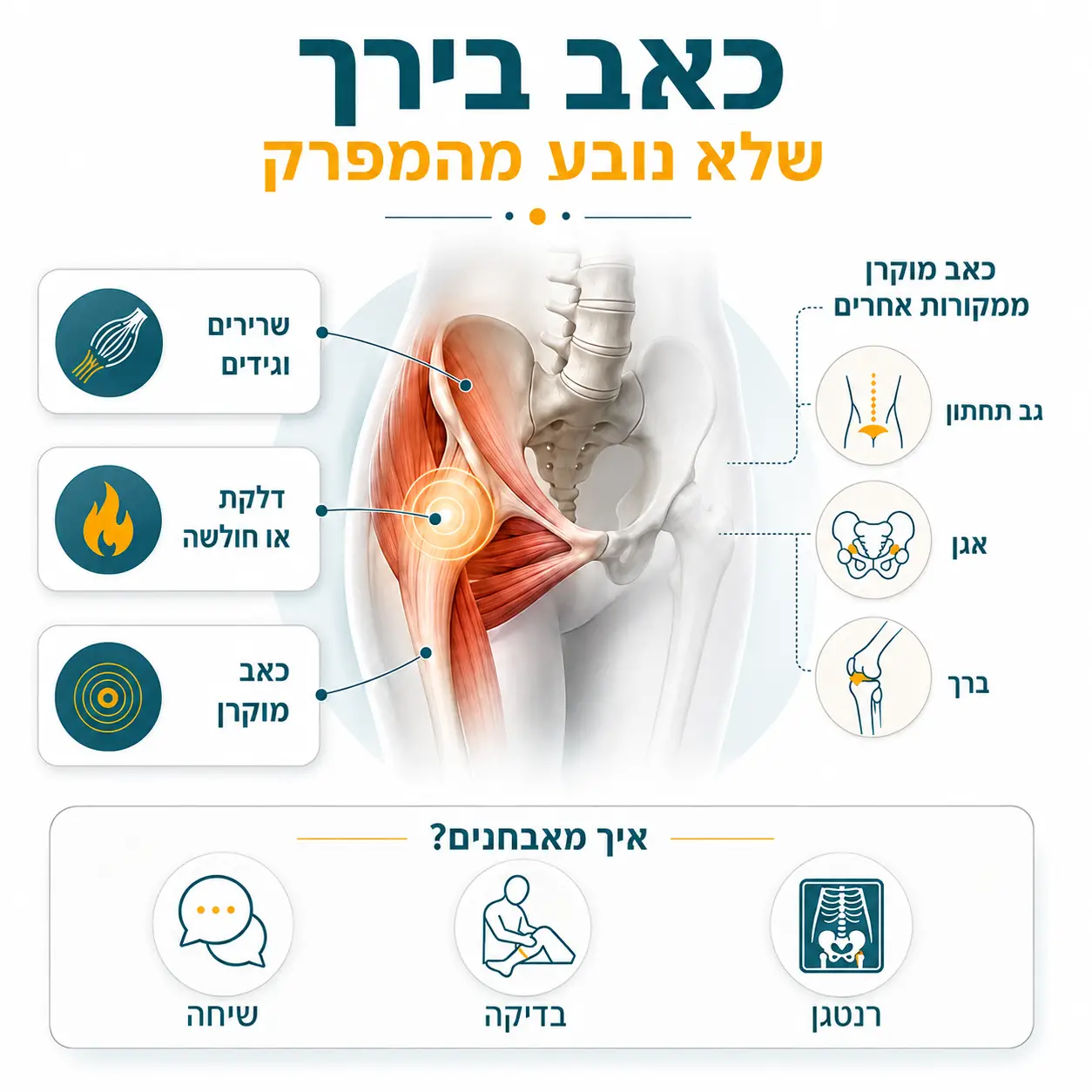 ניתוח החלפת מפרק ירך | אינפוגרפיקה