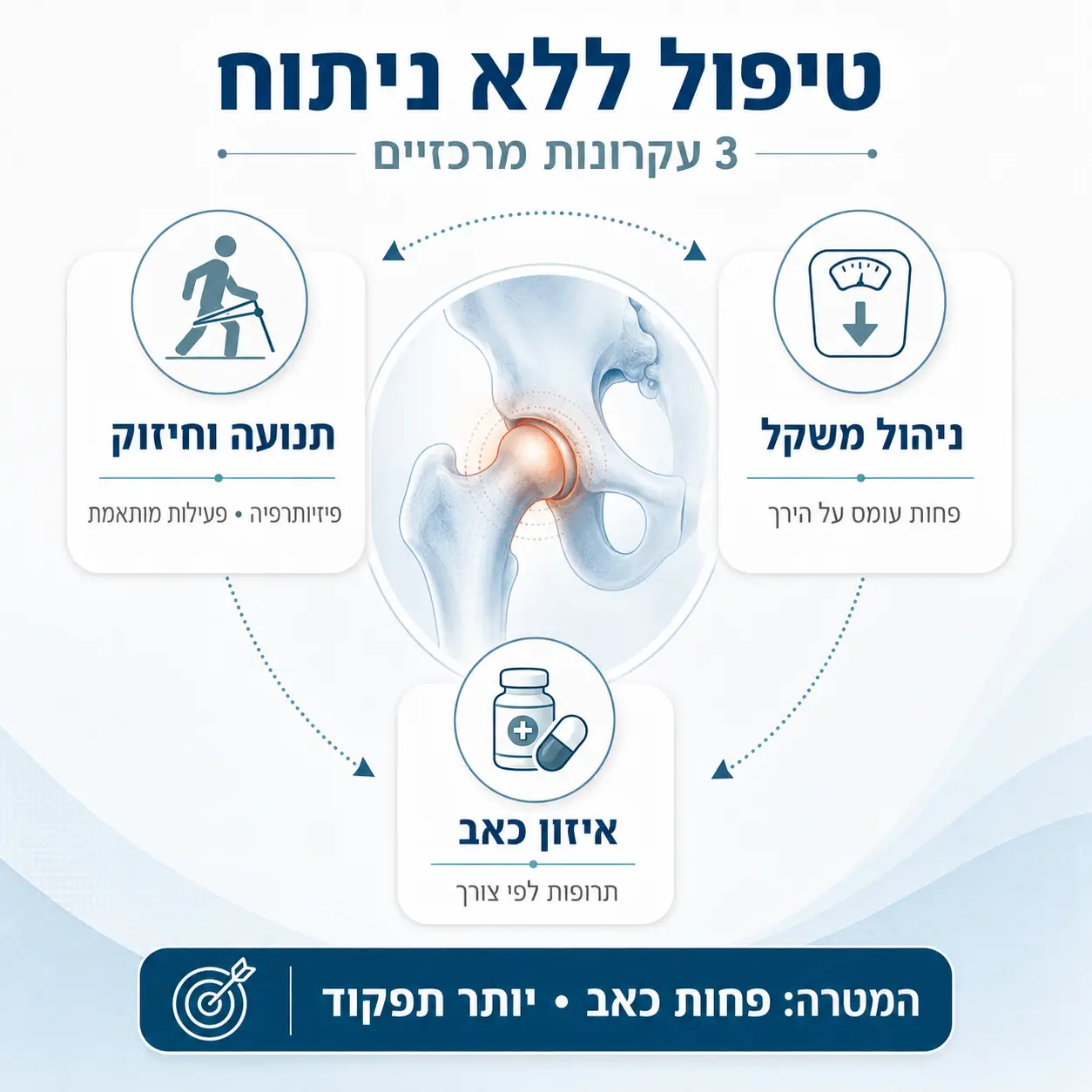 שחיקת סחוס בירך | אינפוגרפיקה