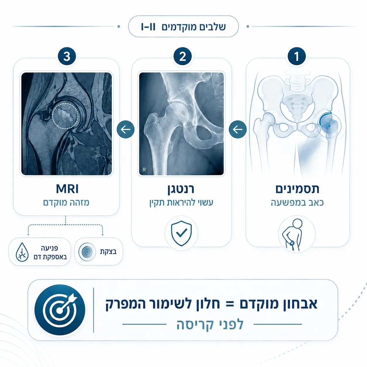 AVN | תמונת אווירה